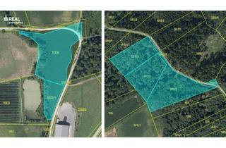 Gewerbeimmobilie kaufen in 8212 Pischelsdorf in der Steiermark, Landwirtschaftliches Freiland (Wald, Wiese) in Pischelsdorf mit rund 2,84ha
