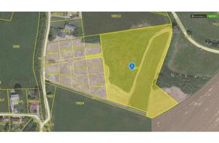 Gewerbeimmobilie kaufen in 8741 Baierdorf, Ca. 2 ha Grünlandfläche in +++ Baierdorf +++