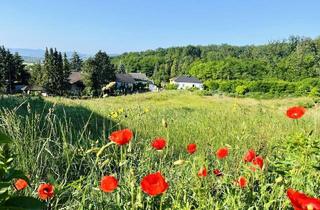 Grundstück zu kaufen in 2100 Leobendorf, Baugrundstück(e) in absoluter Bestlage von LEOBENDORF - BURG KREUZENSTEIN