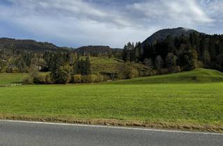 Grundstück zu kaufen in Habach, 6382 Kirchdorf in Tirol, Gewerbe Grundstück zu verkaufen - ab 1.350 m² - Top Lage an B 178 Kirchdorf iT.