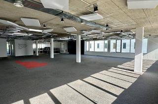 Büro zu mieten in 3400 Klosterneuburg, Modernes Büro im "Industrial Style"