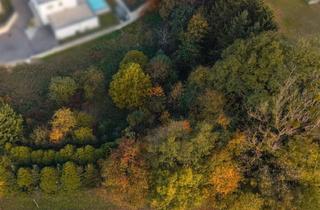 Grundstück zu kaufen in 4641 Steinhaus, Vom Traum zum Zuhause - 821 m² Lebensfreude in Steinhaus - Grundstück mit vielen Möglichkeiten