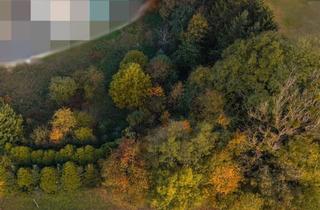 Grundstück zu kaufen in 4641 Steinhaus, Vom Traum zum Zuhause - 821 m² Lebensfreude in Steinhaus - Grundstück mit vielen Möglichkeiten