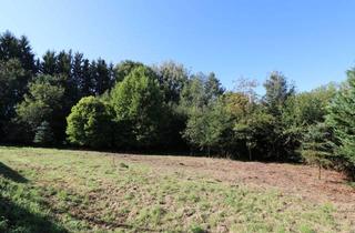 Grundstück zu kaufen in 4641 Steinhaus, Vom Traum zum Zuhause - 821 m² Lebensfreude in Steinhaus - Grundstück mit Vielen Möglichkeiten