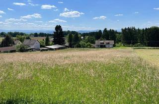 Grundstück zu kaufen in 8413 Sankt Georgen an der Stiefing, Sonniges Baugrundstück in Top-Südwestlage - St. Georgen an der Stiefing