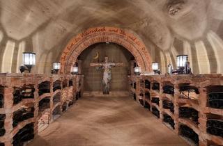 Lager kaufen in 3100 Sankt Pölten, Exklusiver Weinkeller mit historischem Flair in St. Pölten