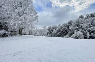 Haus kaufen in 8542 Sankt Peter im Sulmtal, Idyllisches Holzhaus mit großzügigem Grundstück