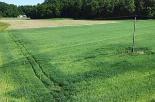 Grundstück zu kaufen in 5133 Gilgenberg am Weilhart, Sonniges Grundstück in Alleinlage