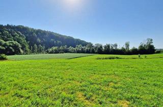 Grundstück zu kaufen in 4974 Ort im Innkreis, Ihr Unternehmensstandort mit Zukunft - Betriebsbaugrund in Top-Lage