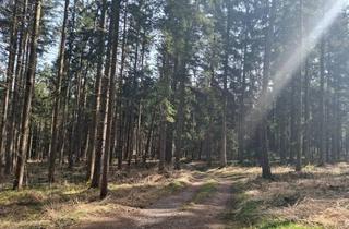 Immobilie kaufen in 5231 Schalchen, Wald