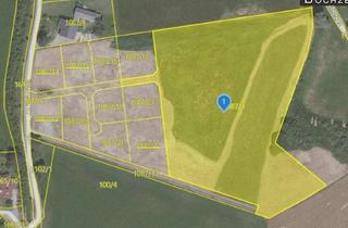 Grundstück zu kaufen in Penkenbach / Hahnleiten / Baierdorf, 8741 Baierdorf, Ca. 2 ha Grünlandfläche in +++ Baierdorf +++