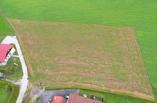 Grundstück zu kaufen in 5133 Gilgenberg am Weilhart, Baugrundstück mit optional angrenzenden Nutzgrund
