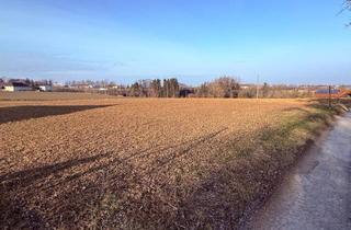  in 4551 Ried im Traunkreis, Betriebsbaugrund in attraktivster Lage!