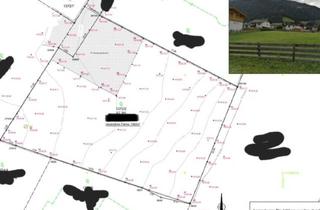 Grundstück zu kaufen in 6167 Neustift im Stubaital, Grosses Grundstück in Tourismusregion