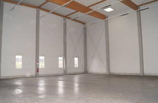 Gewerbeimmobilie kaufen in Kamerlweg 33, 4600 Wels, 2488m² modernisiertes Lager und Büro in Wels, 2025 Saniert