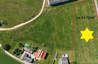 Grundstück zu kaufen in 5144 Handenberg, Geplantes Misch- Betriebsbaugebiet