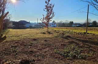 Grundstück zu kaufen in Salzburg, 5121 Ostermiething, Baugrund mit Ferienhaus in Ostermiething