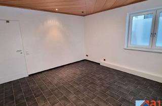Büro zu mieten in Georg Grinninger-Straße, 4050 Traun, Büroraum in Traun zu mieten!