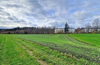 Immobilie kaufen in 4971 Aurolzmünster, landwirtschaftlicher Nutzgrund