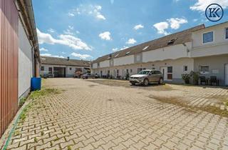 Haus kaufen in 2286 Haringsee, Optimal für drei bis vier Familien – mit weitläufigem Gemeinschaftsgarten zur gemeinsamen Nutzung.