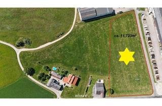 Grundstück zu kaufen in 5144 Handenberg, Geplantes Misch- Betriebsbaugebiet