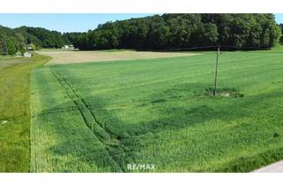 Grundstück zu kaufen in 5133 Gilgenberg am Weilhart, Sonniges Grundstück in Alleinlage