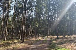 Gewerbeimmobilie kaufen in 5231 Schalchen, Wald