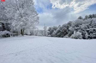 Haus kaufen in 8542 Sankt Peter im Sulmtal, Idyllisches Holzhaus mit großzügigem Grundstück