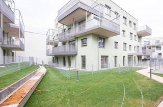 Wohnung mieten in Ungargasse 27b, 2700 Wiener Neustadt, Provisionsfreie 4-Zimmer Wohnung im Zentrum von Wiener Neustadt