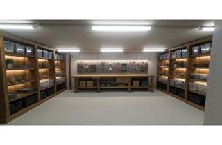 Immobilie mieten in Jaro Schmied-Straße, 2100 Korneuburg, Großer Neubaulager-/Hobbyraum in der Nähe vom Zentrum von Korneuburg