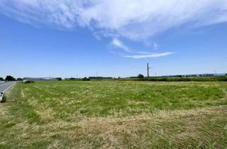 Grundstück zu kaufen in Gramatneusiedler-Straße, 2441 Mitterndorf an der Fischa, IHRE CHANCE: Betriebsgrundstück I TOP-Lage I Ideal geschnitten I Ortseinfahrt Mitterndorf/Fischa