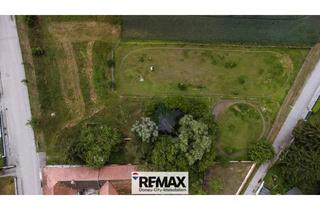 Grundstück zu kaufen in 3042 Würmla, "4.000m² Bauland zwischen Tulln und St.Pölten!"