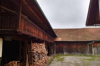 Gewerbeimmobilie kaufen in Mollendorf 17, 3653 Weiten, Kleiner Bauernhof