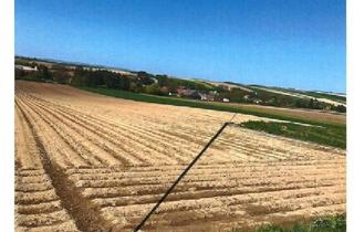 Grundstück zu kaufen in 2004 Niederhollabrunn, Acker in Bruderndorf