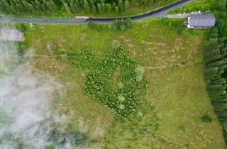 Grundstück zu kaufen in 9431 Kleinedling, Koralpe: Über den Wolken - Grundstück mit Touristischer Widmung und Spektakulärem Panorama!