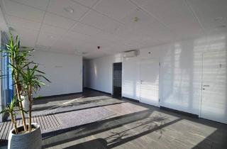 Büro zu mieten in 3321 Stephanshart, Repräsentative Schau-/Büroflächen zu mieten- barrierefrei!