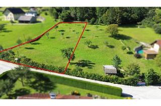 Grundstück zu kaufen in 3335 Weyer, Sonniges Grundstück, OHNE BAUZWANG