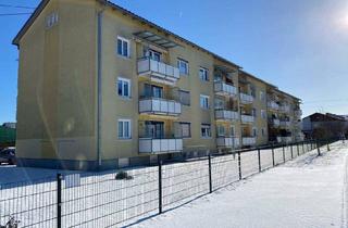 Wohnung mieten in Bindergasse, 4230 Pregarten, NEU SANIERTE 3 ZIMMER WOHNUNG IN PREGARTEN - JETZT CHANCE NUTZEN