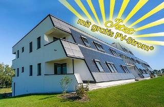 Wohnung mieten in Lechnerstraße 32/5, 3385 Gerersdorf, barrierefreie Wohnung in Gerersdorf