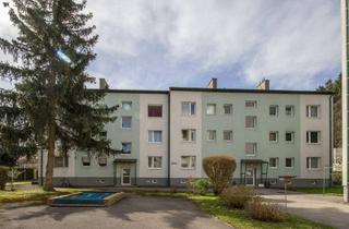 Wohnung mieten in Neidhartstraße 39, 3150 Wilhelmsburg, Zentrumsnahe, preiswerte 2 Zimmer-Wohnung