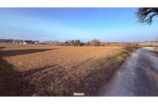 in 4551 Ried im Traunkreis, Betriebsbaugrund in attraktivster Lage!