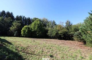 Grundstück zu kaufen in 4641 Steinhaus, Vom Traum zum Zuhause – 821 m² Lebensfreude in Steinhaus - Grundstück mit vielen Möglichkeiten