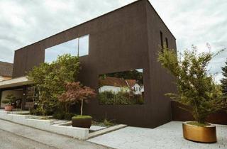 Haus kaufen in Mayerhofstraße 15, 3441 Pixendorf, Designhaus in Pixendorf mit Doppelgarage & architektonisch gestaltetem Garten – sofort einziehen & wohlfühlen