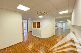 Büro zu mieten in Rainerstraße, 4020 Linz, Bürofläche mit Seminarräumen und Tiefgarage am Schillerpark!