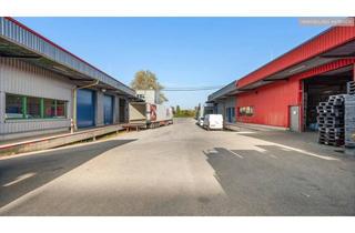 Gewerbeimmobilie kaufen in 2103 Langenzersdorf, Moderne Halle, Produktion, Büro. Leer oder Rendite 7,9 %. Sensationeller PREIS EUR 1.287 / m2
