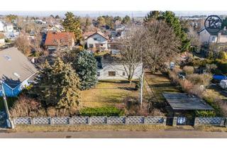 Grundstück zu kaufen in Pfirsichgasse, 1220 Wien, Ein Haus für kreative Köpfe