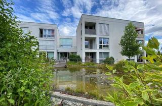 Wohnung mieten in Anderlegasse 10/20, 3240 Mank, Anderlegasse 10/20