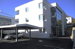 Wohnung mieten in Liese Prokop-Siedlung 5/6, 3361 Aschbach-Markt, Aschbach | Geförderte Miete mit Kaufoption | Haus 2 Top 6 | 1.OG mit Balkon