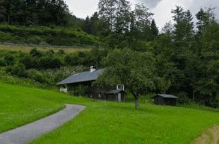 Grundstück zu kaufen in Leitenhaus, 5524 Annaberg im Lammertal, Verlassenes Anwesen mit 0,5 ha Grünland in Abtenau zu verkaufen