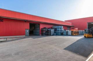 Lager kaufen in 2103 Langenzersdorf, Moderne Halle, Produktion, Büro. Leer oder Rendite 7,9 %. Sensationeller PREIS EUR 1.287 / m2